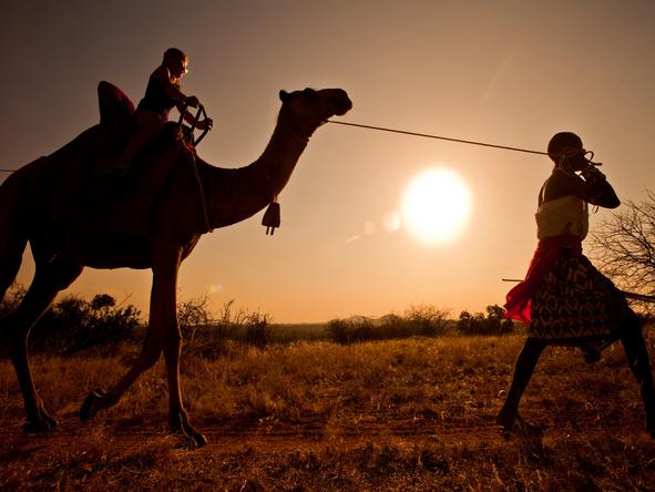 SaSaab Camp - camel-back safari